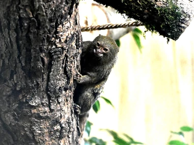 Ausflugsziel: Tiergarten Kleve
