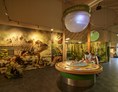 Ausflugsziel: Entdecke die Geheimisse des Nationalpark Hainich in unserer interaktiven Ausstellung im Nationalparkzentrum. Foto: Tino Sieland - Baumkronenpfad im Nationalpark Hainich