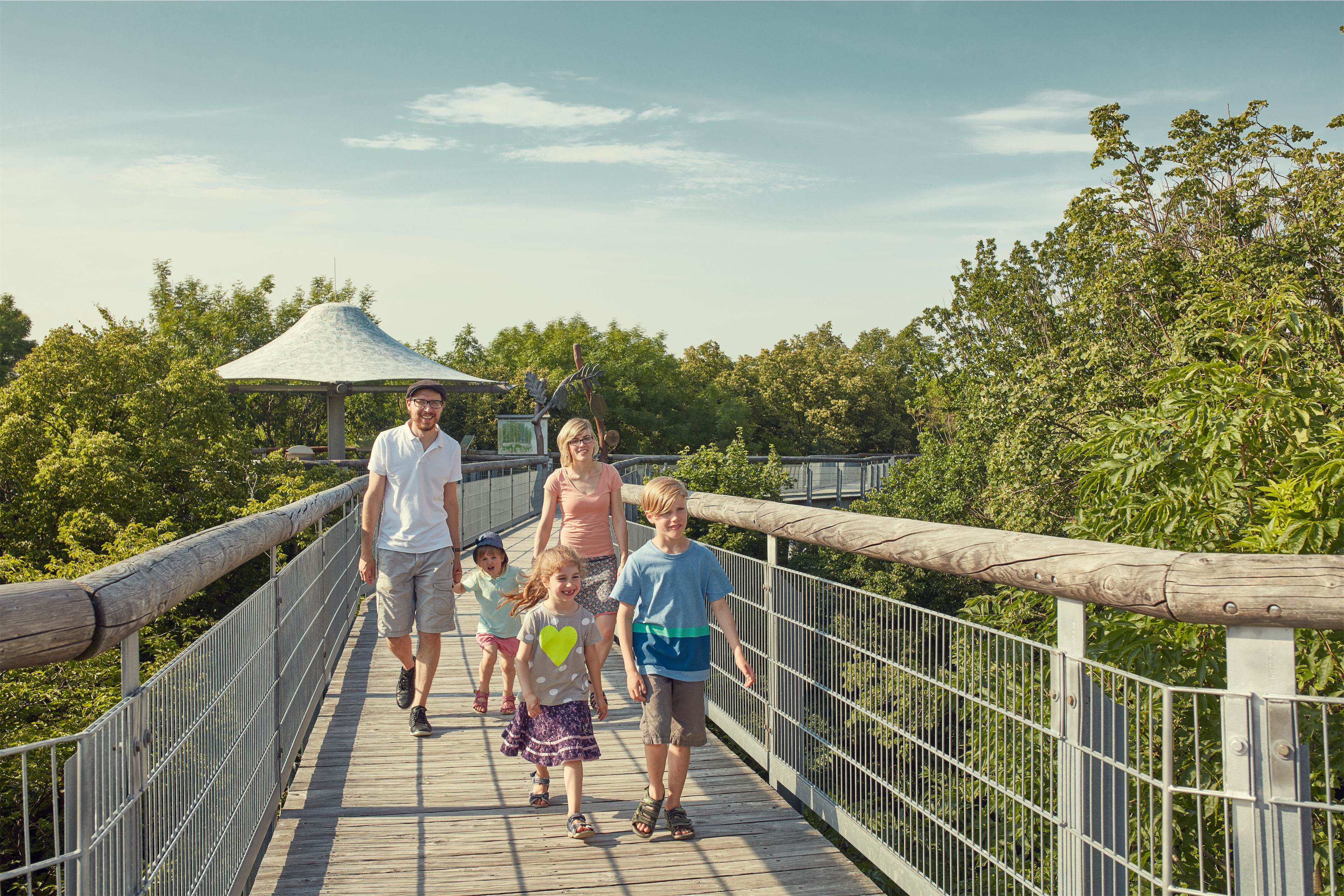 Ausflugsziel: Baumkronenpfad im Nationalpark Hainich