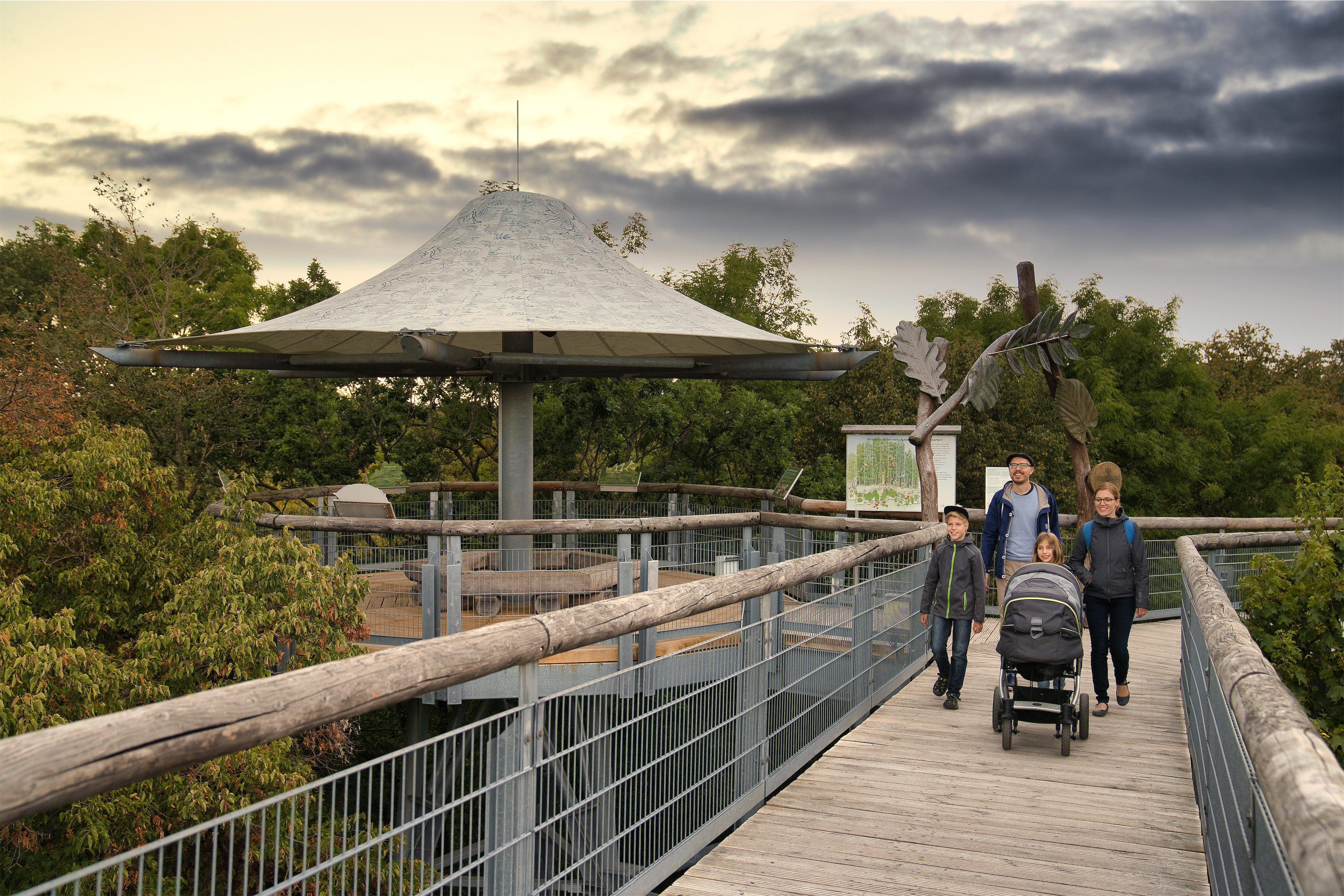 Ausflugsziel: Baumkronenpfad im Nationalpark Hainich