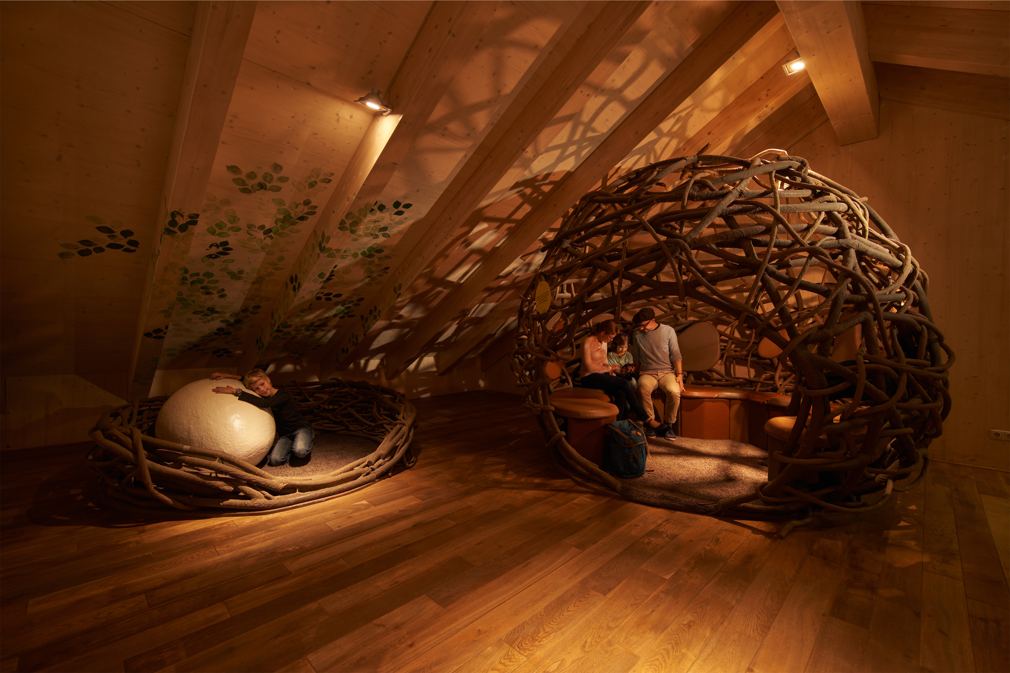 Ausflugsziel: Baumkronenpfad im Nationalpark Hainich