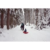 Ausflugsziel - Der Winterwanderweg verläuft neben der Parallelloipe. - Winterwanderweg Oberhaag