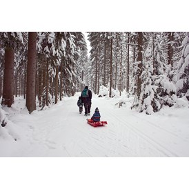 Ausflugsziel: Der Winterwanderweg verläuft neben der Parallelloipe. - Winterwanderweg Oberhaag