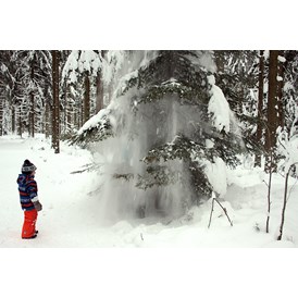Ausflugsziel: Winterwanderweg Oberhaag