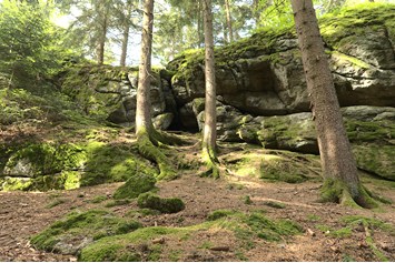 Ausflugsziel: Räuberhöhle - Kühsteinrunde