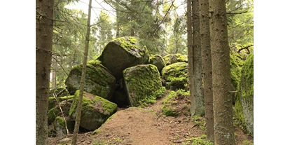 Viaggio con bambini - Weitra - Bergsteinmauer