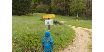 Viaggio con bambini - Weitra - Bergsteinmauer