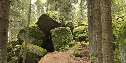 Viaggio con bambini - Weitra - Bergsteinmauer