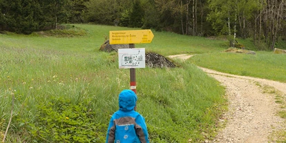 Viaggio con bambini - Weitra - Bergsteinmauer