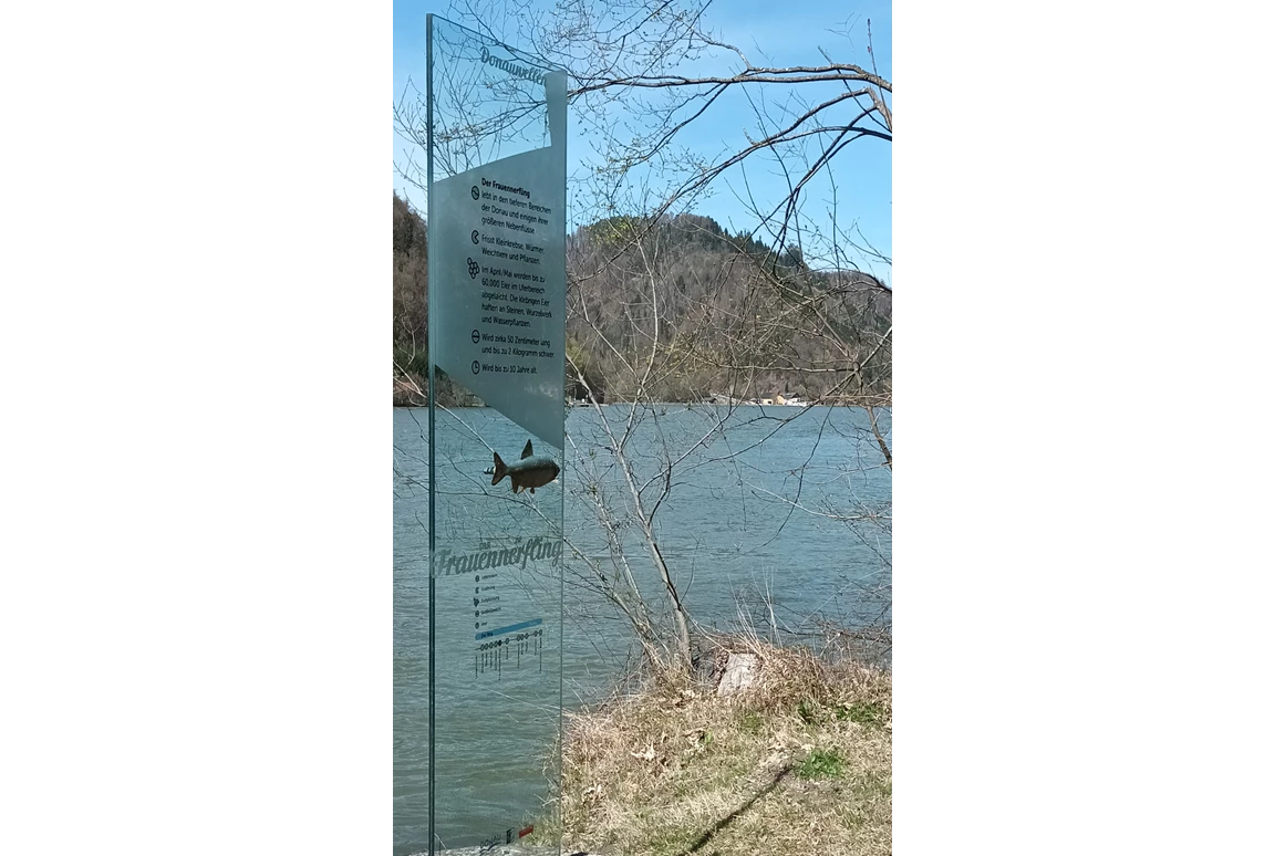 Ausflugsziel: Infotafel am Fischlehrpfad - Fischlehrpfad Obermühl