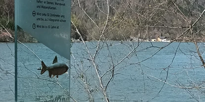Ausflug mit Kindern - Sankt Martin im Mühlkreis - Fischlehrpfad Obermühl