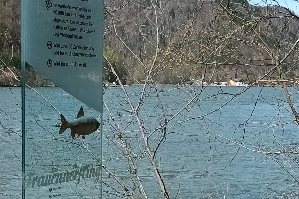 Ausflugsziel: Fischlehrpfad Obermühl