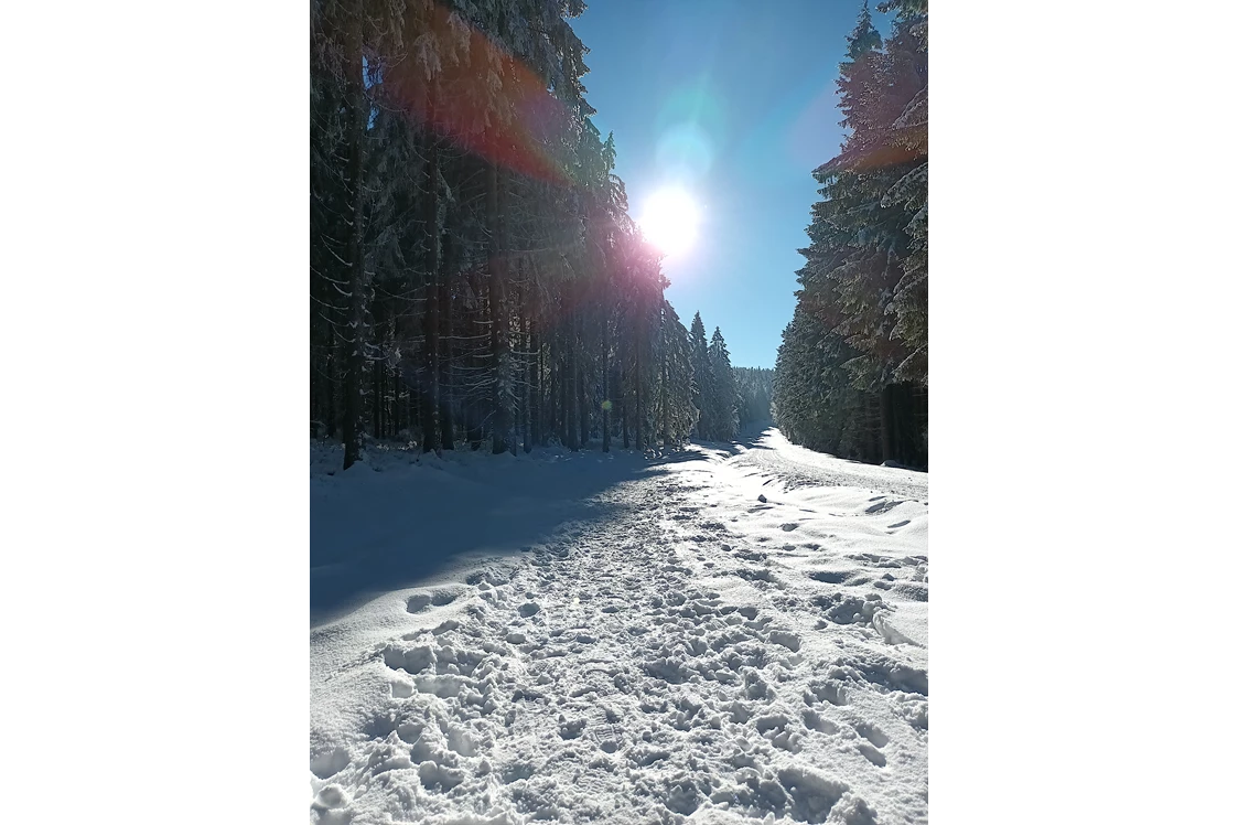 Ausflugsziel: Winterwanderweg Alpenblick