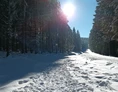 Ausflugsziel: Winterwanderweg Alpenblick
