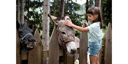 Ausflug mit Kindern - Alter der Kinder: 1 bis 2 Jahre - Dolomiten - Streichelzoo Colfosco - Streichelzoo Colfosco