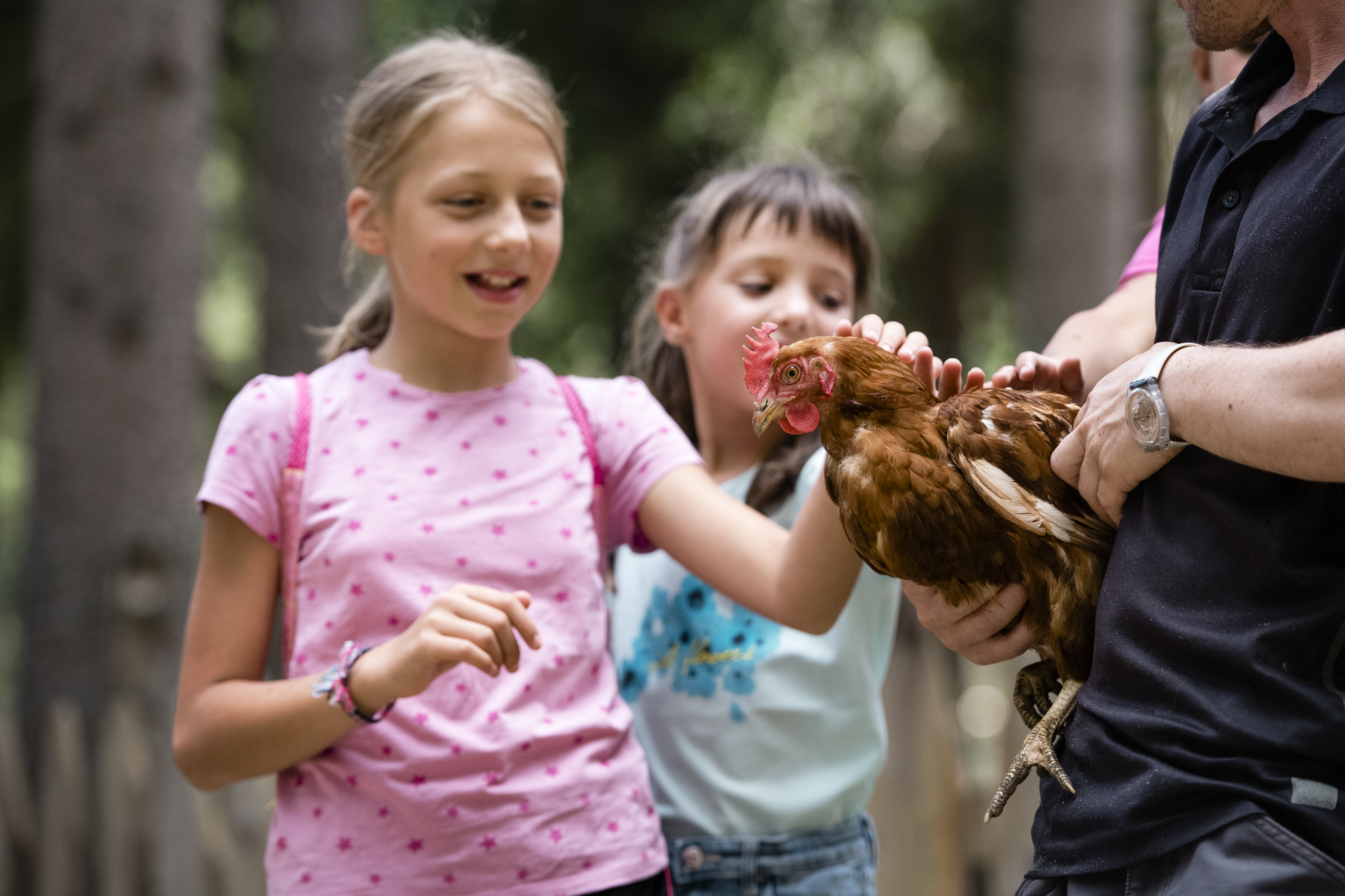 Ausflugsziel: Streichelzoo Colfosco