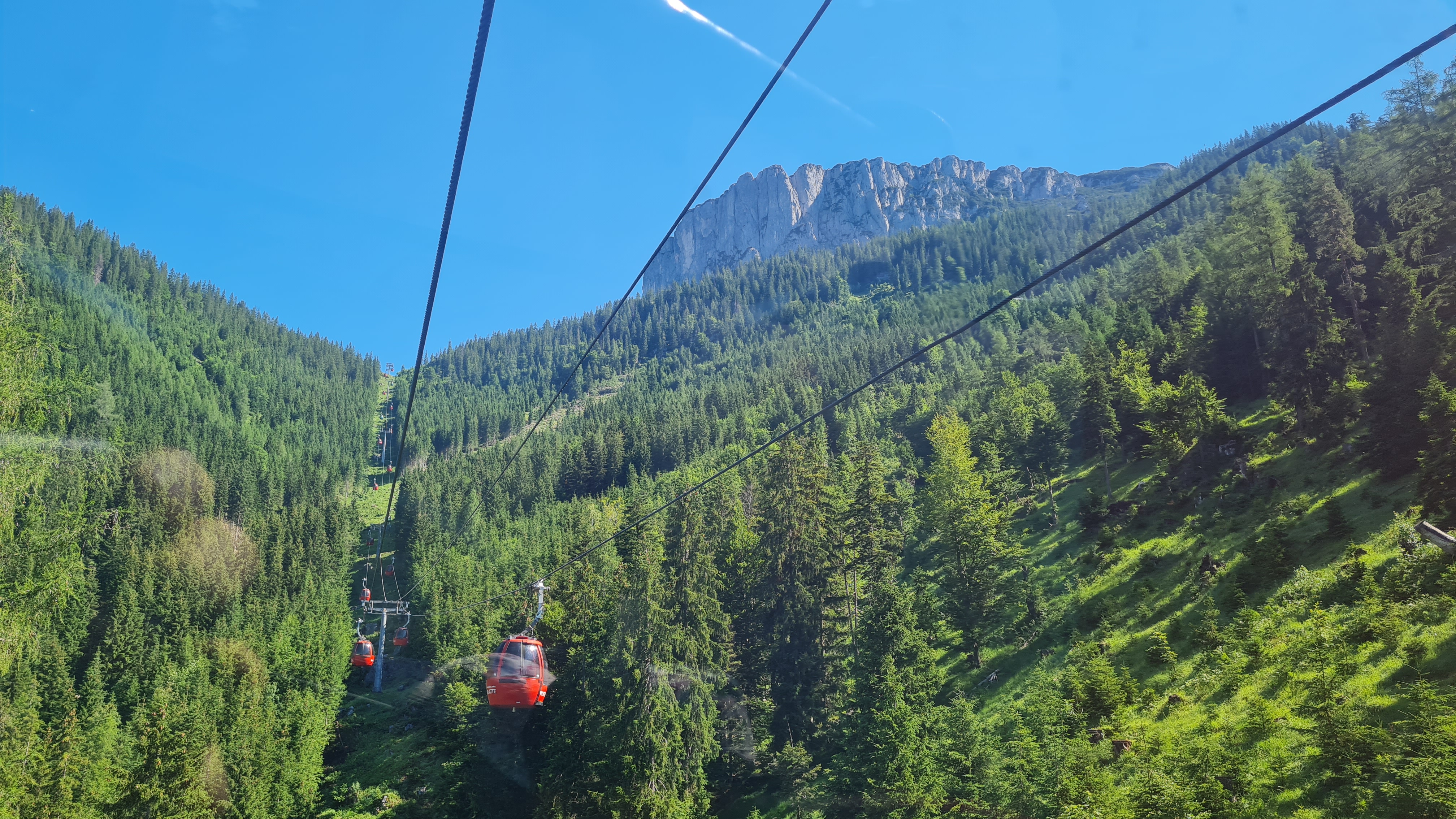 Ausflugsziel: Triassic Park  Steinplatte Waidring