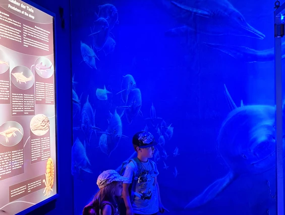 Ausflugsziel: Triassic Park  Steinplatte Waidring