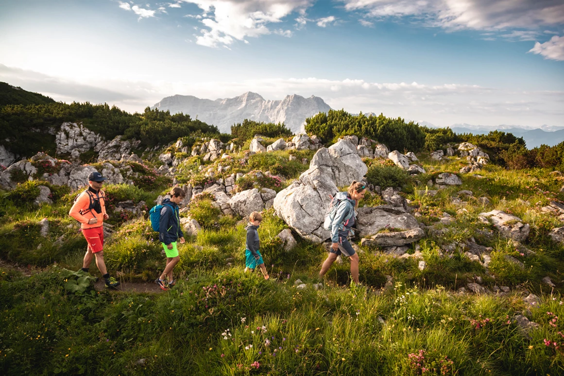 Ausflugsziel: Steinplatte Waidring Triassic Park - Triassic Park  Steinplatte Waidring