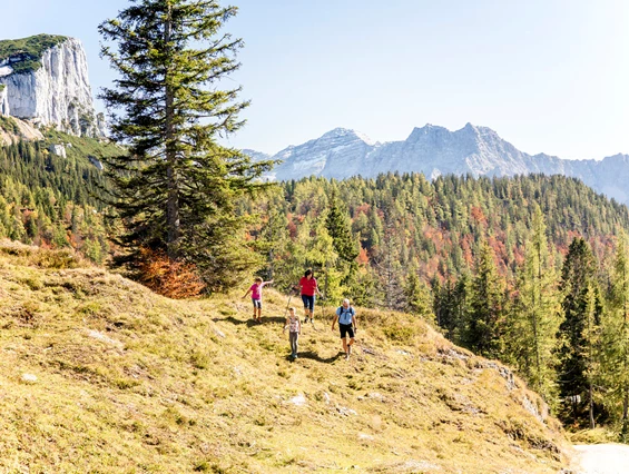 Ausflugsziel: Triassic Park  Steinplatte Waidring