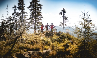 Ausflugsziel: Triassic Park  Steinplatte Waidring