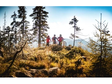 Ausflugsziel: Triassic Park  Steinplatte Waidring