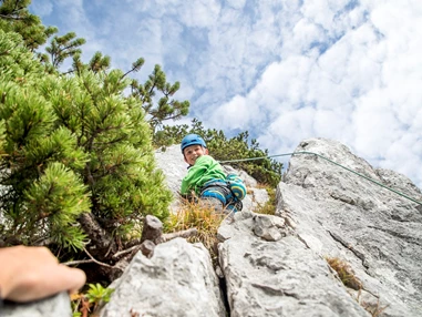 Ausflugsziel: Triassic Park  Steinplatte Waidring