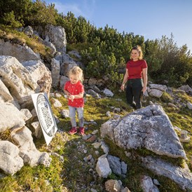 Ausflugsziel: TriassicPark auf der Steinplatte