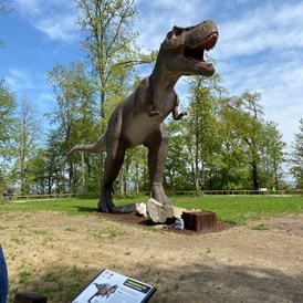 Ausflugsziel: Dinosaurierausstellung bis 10/2022 Katzenberg 
