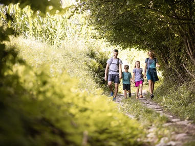 Ausflugsziel: Durch Wiesen und Felder