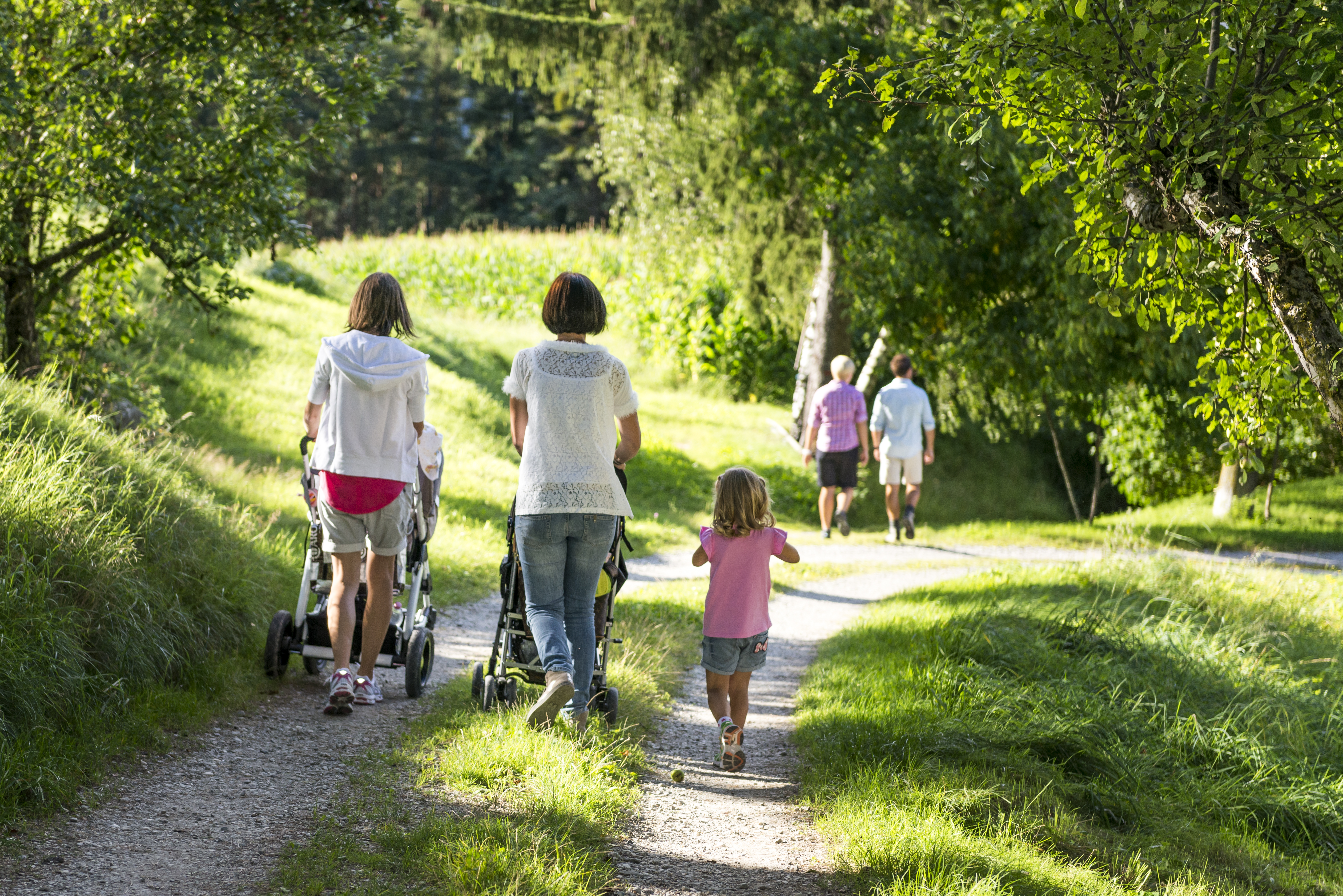 Ausflugsziel: Durch Wiesen und Felder