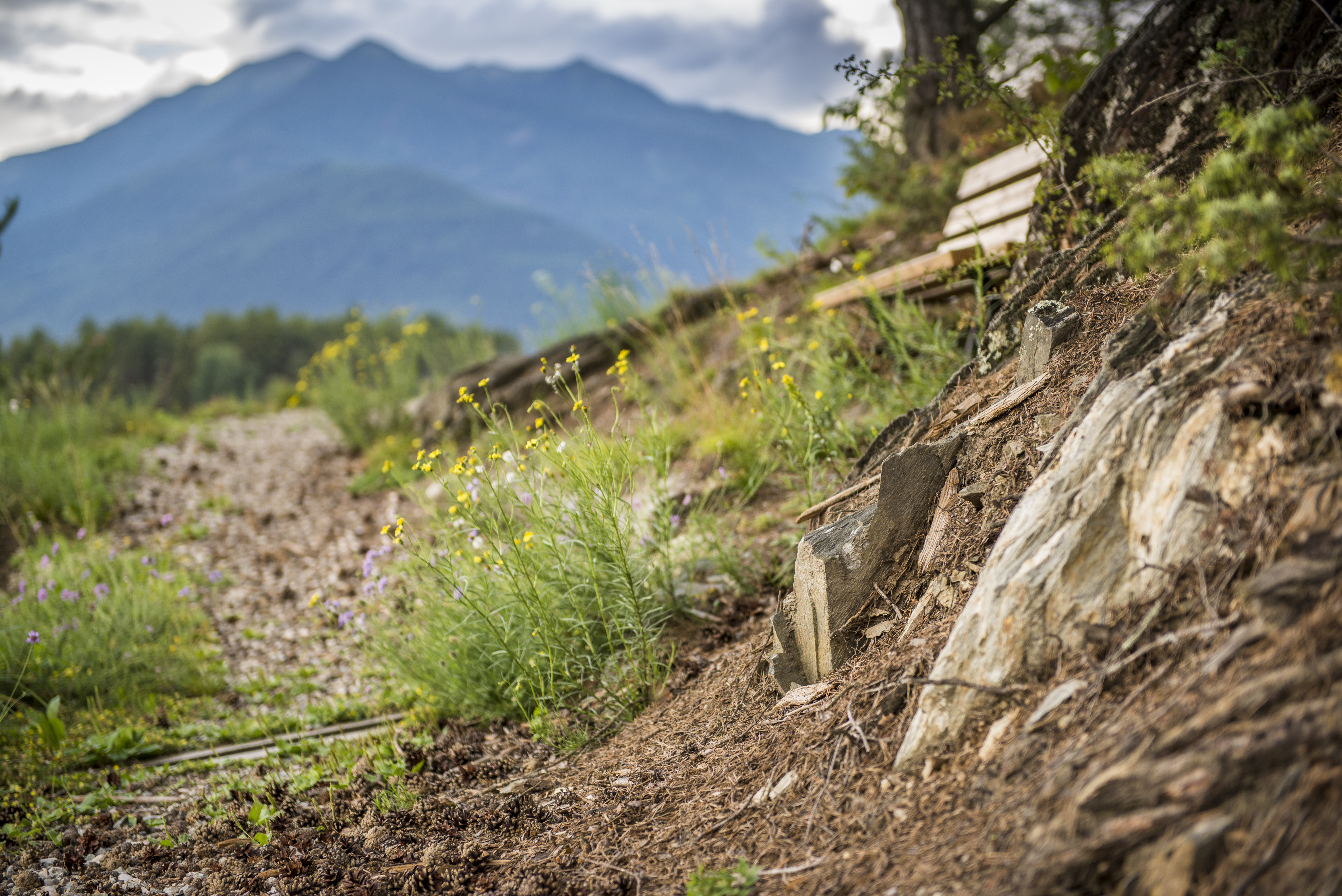 Ausflugsziel: Durch Wiesen und Felder