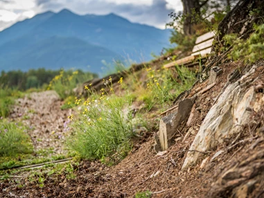 Ausflugsziel: Durch Wiesen und Felder