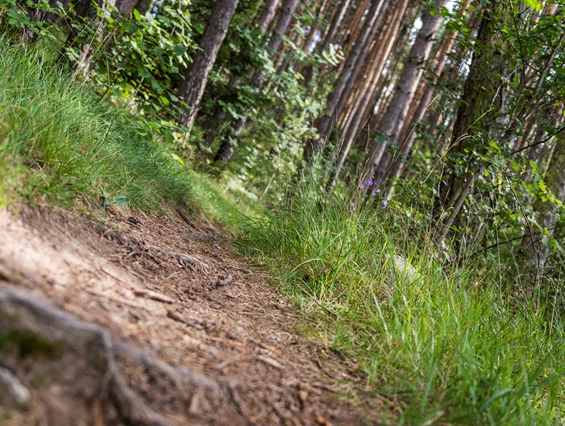 Ausflugsziel: Durch Wiesen und Felder
