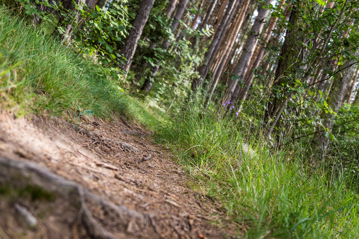 Ausflugsziel: Durch Wiesen und Felder