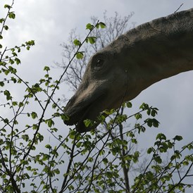 Ausflugsziel: Dinoland im Schlosspark Katzenberg