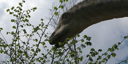 Reis met kinderen - Umgebungsschwerpunkt: Fluss - Dinoland im Schlosspark Katzenberg