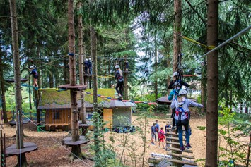 Ausflugsziel: Hochseilgarten Kirchschlag Ralf & Walter / Kletterpark