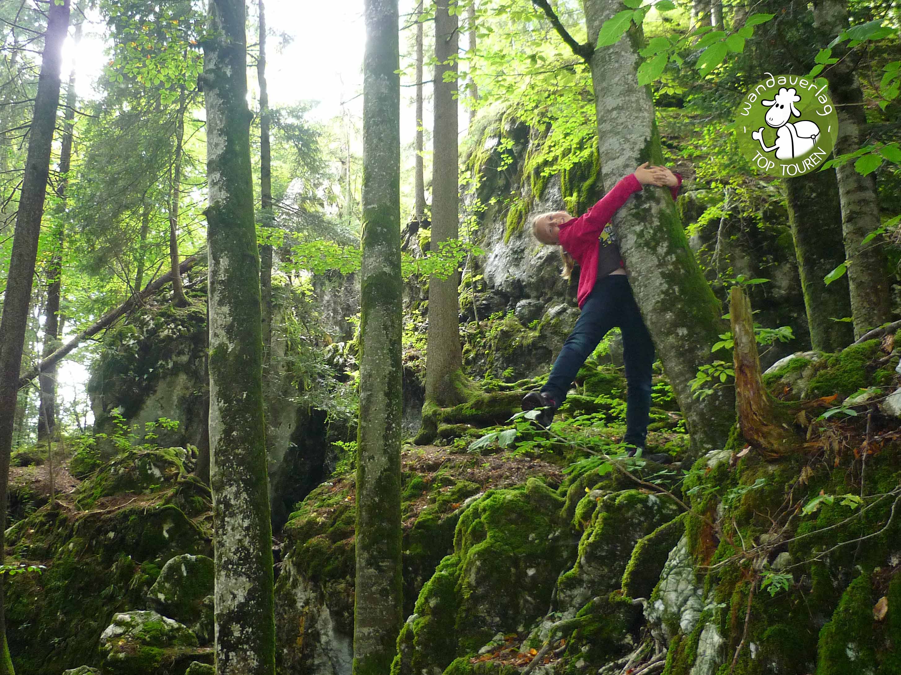 Ausflugsziel: Steinklüfte und Plombergstein