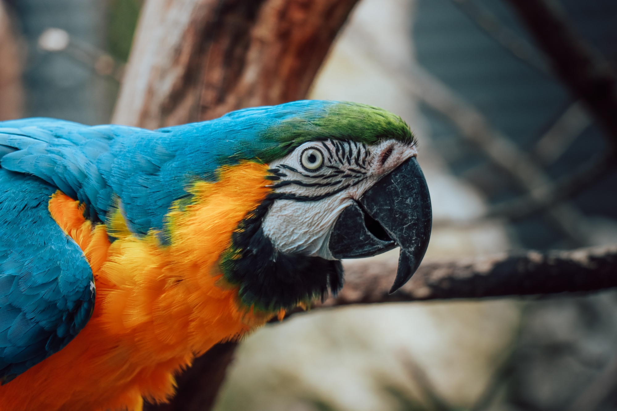Ausflugsziel: Sikypark - der Schweizer Tierrettungspark