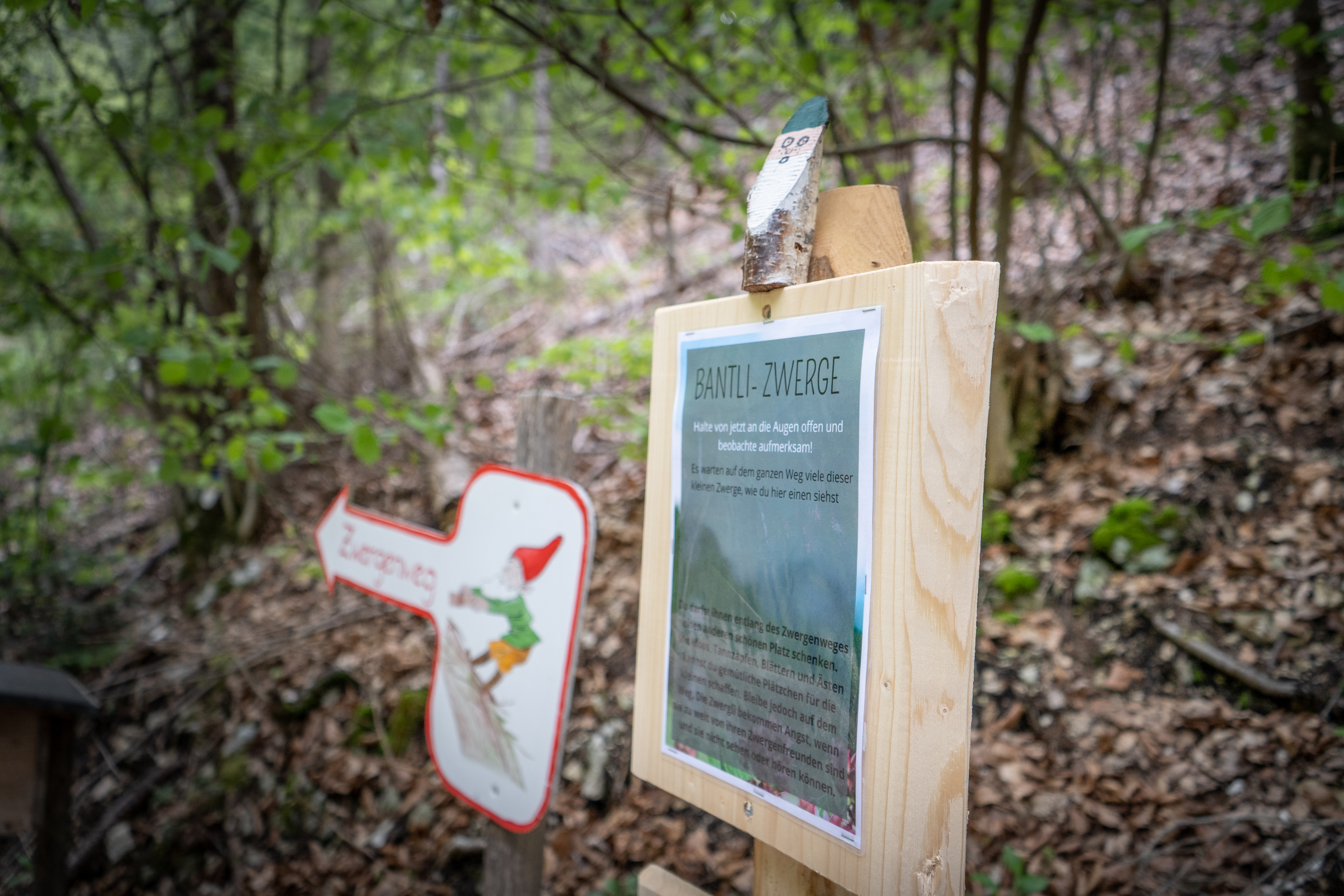 Ausflugsziel: Zwergenweg Berghof Montpelon