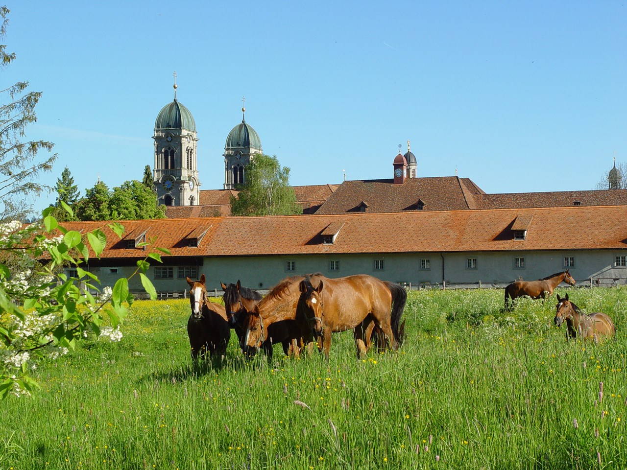 Kloster Einsiedeln Highlights beim Ausflugsziel Cavalli della Madonna