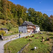 Ausflugsziel - Ballenberg, Freilichtmuseum der Schweiz