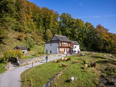 Ausflugsziel: Ballenberg, Freilichtmuseum der Schweiz