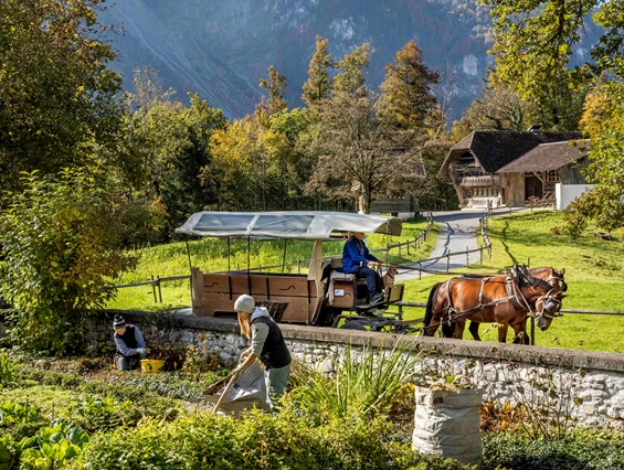 Ausflugsziel: Ballenberg, Freilichtmuseum der Schweiz