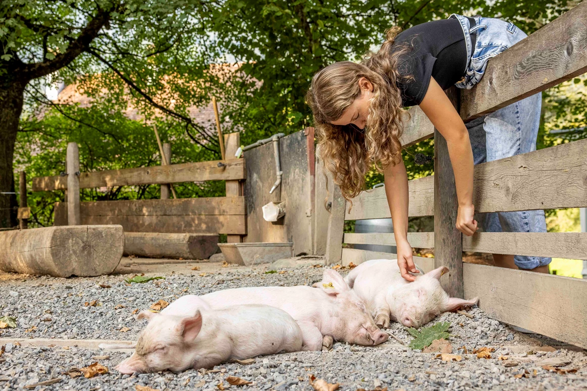 Ausflugsziel: Ballenberg, Freilichtmuseum der Schweiz