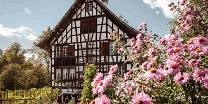 Viaggio con bambini - Kinderwagen: großteils geeignet - Ballenberg, Freilichtmuseum der Schweiz