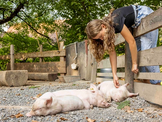 Ausflugsziel: Ballenberg, Freilichtmuseum der Schweiz