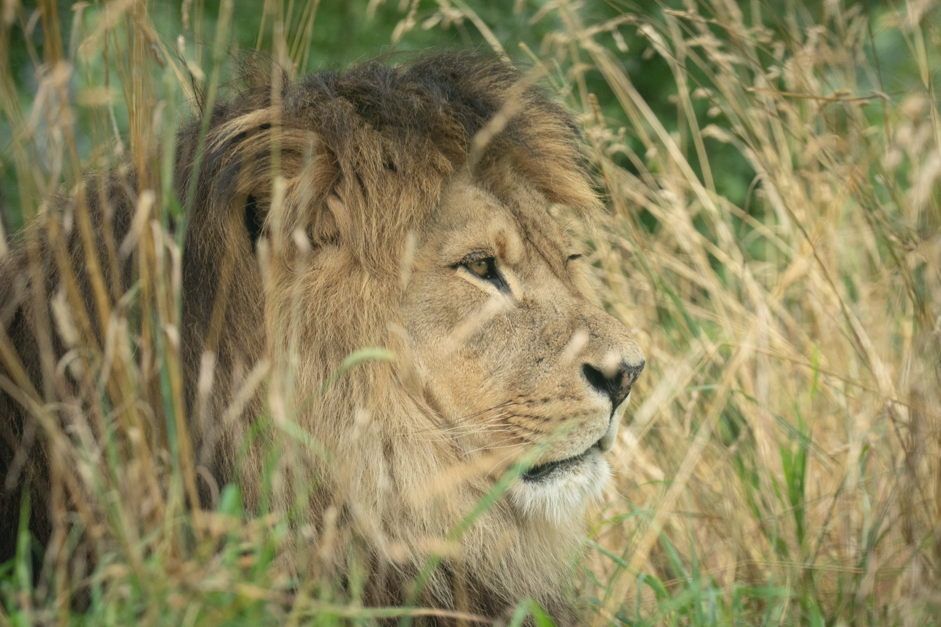 Ausflugsziel: Walter Zoo
