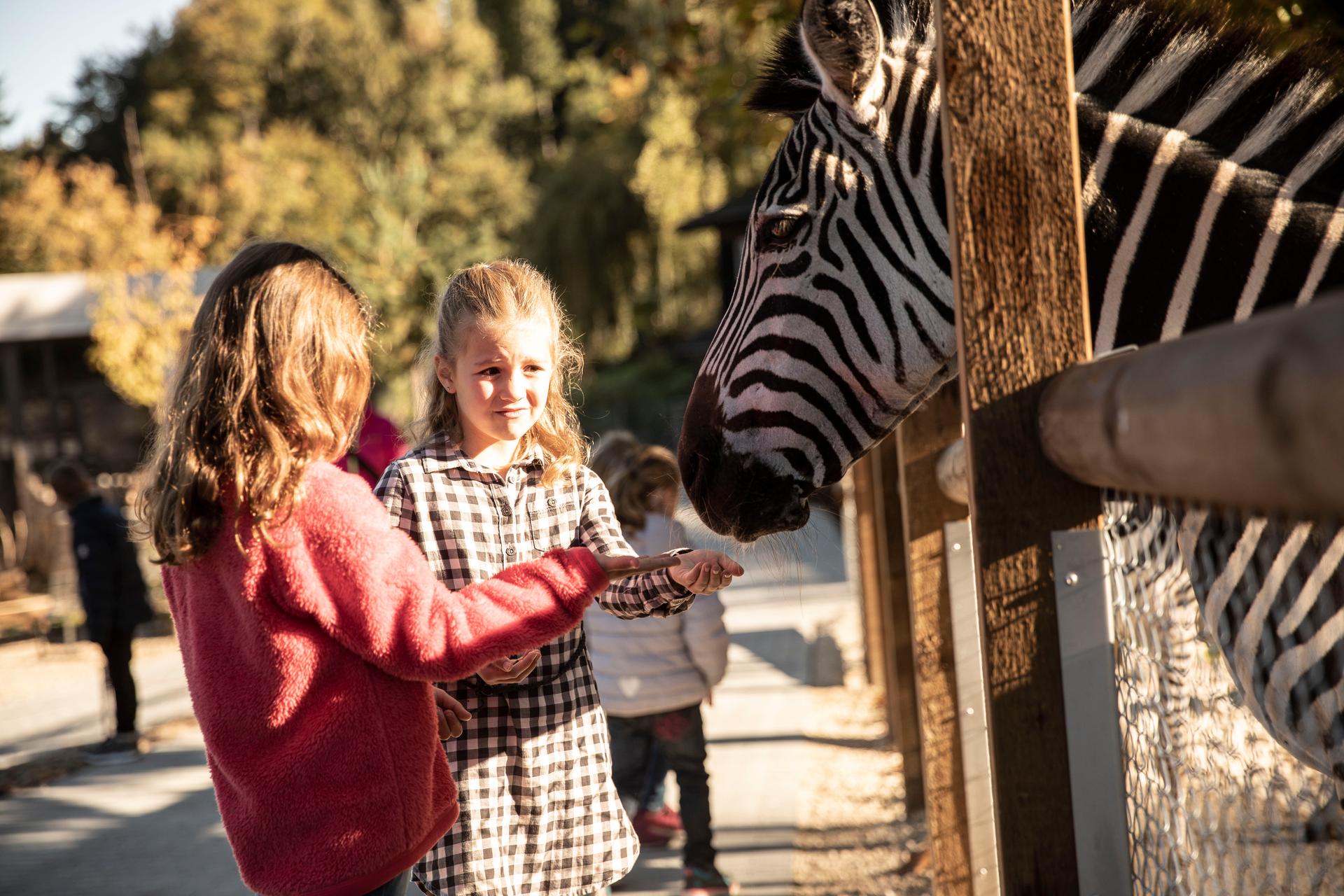 Ausflugsziel: Walter Zoo